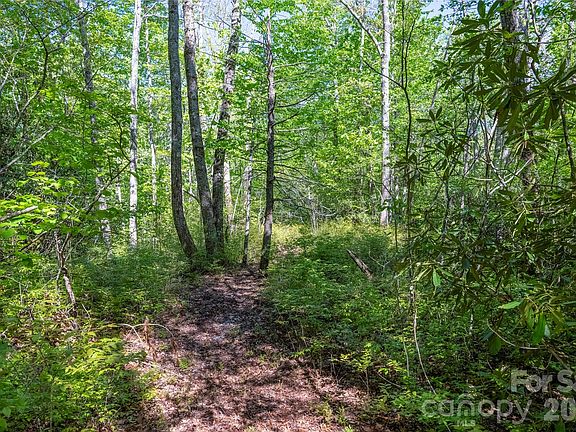5th image of Long Ridge Rd