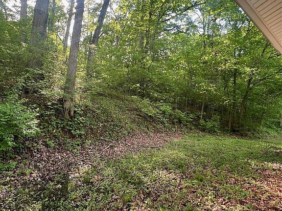 3rd image of 148 Dale Dr