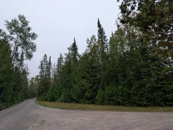 V/l 12.6 Lappan Rd, Alpena, MI 49707