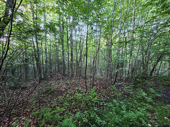 5th image of 0000 Hampshire Woods Loop #R013-0007-0033