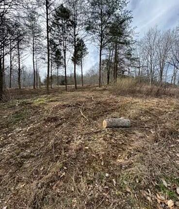 2nd image of 3.05 Peytonsburg Sulphur Rd