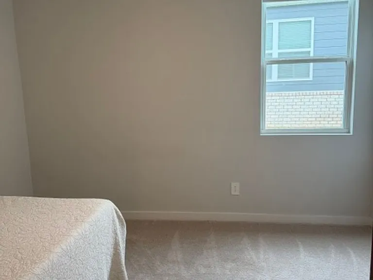 1037 Royal Gorge Ct — Photo 8