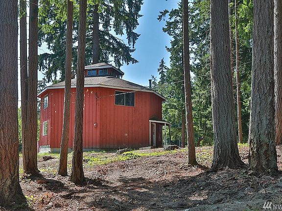 These old trees stand just along Campbell Rd.