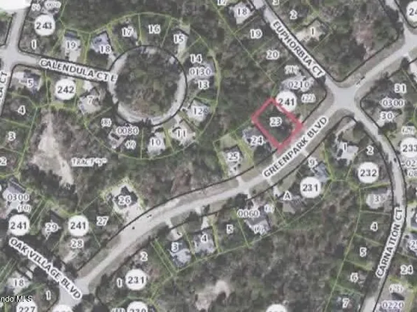 48 Greenpark Blvd, Homosassa, FL 34446