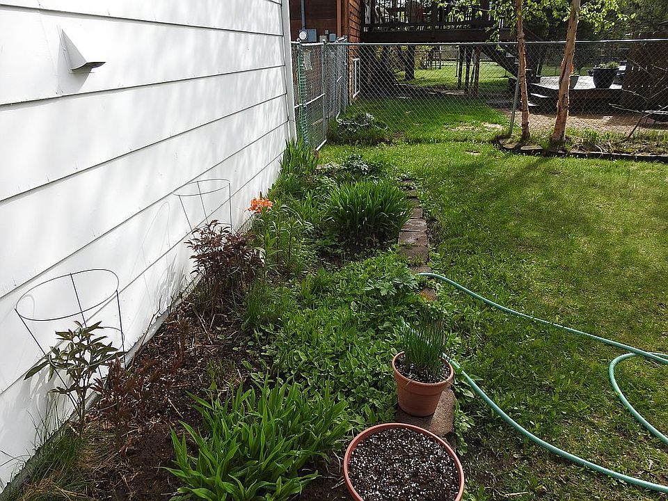 pics of property /yard 