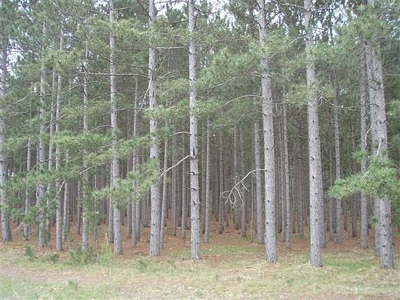 4th image of 708 15th Dr