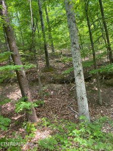 LOT 31 High St, Sevierville, TN, 37862