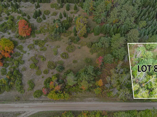 Trout Creek Rd, Cheboygan, MI 49721
