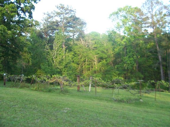 5th image of 2482 McCormick Hwy