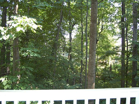 View from Deck