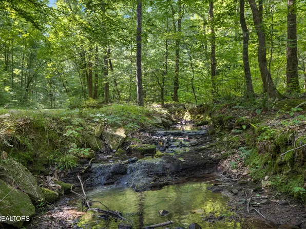 S South Roane St, Harriman, TN 37748