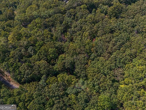 3rd image of 0 Little Hendricks Mountain Rd