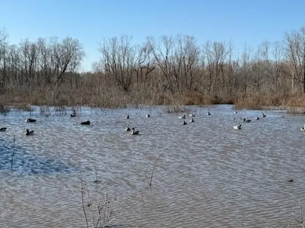 0 Fry, Lavinia, TN 38348