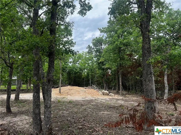510 Pine Loop, Somerville, TX 77879