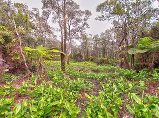 9th St LOT 779, Volcano, HI 96785
