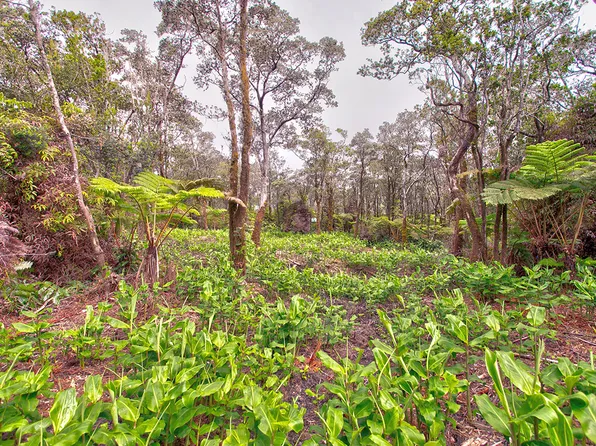 9th St Lot 779, Volcano, HI 96785