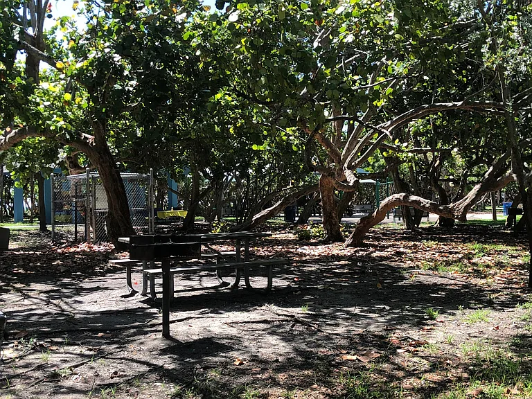 bbq area in park