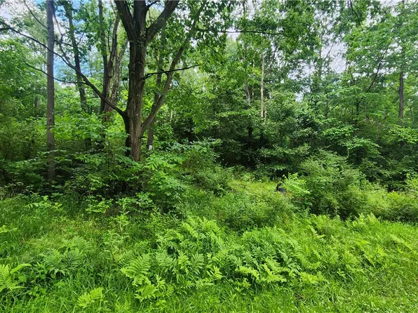 0 Novinger Rd, Leechburg, PA 15656