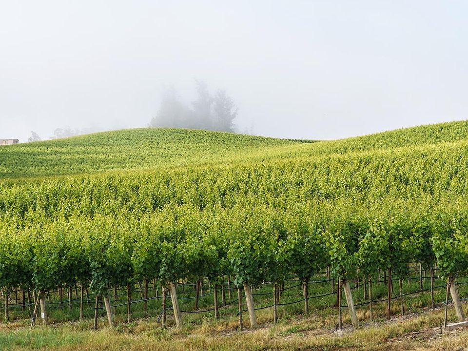 1st image of 5215 Blank Road