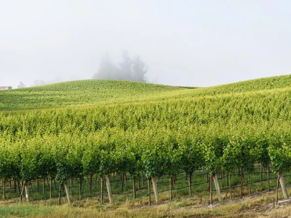 5215 Blank Road, Sebastopol, CA 95472