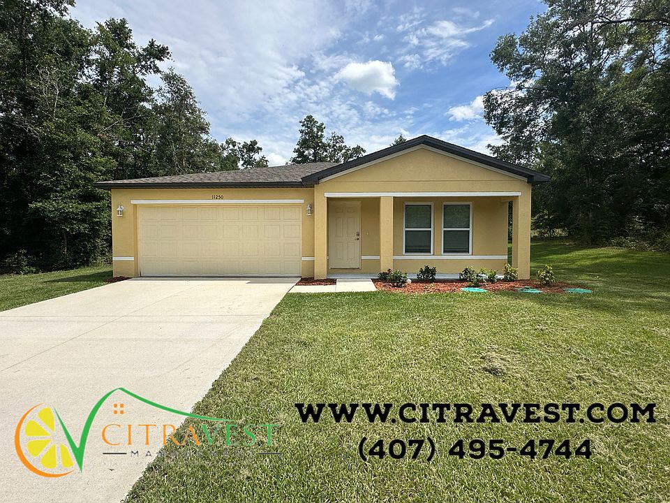 knockout_07112024