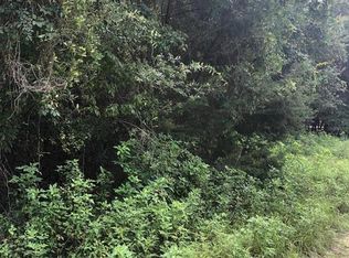 0 SE 93rd Ave. Rd, Summerfield, FL 34491