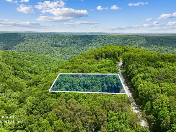 4 Bluff View Ln, Spencer, TN 38585