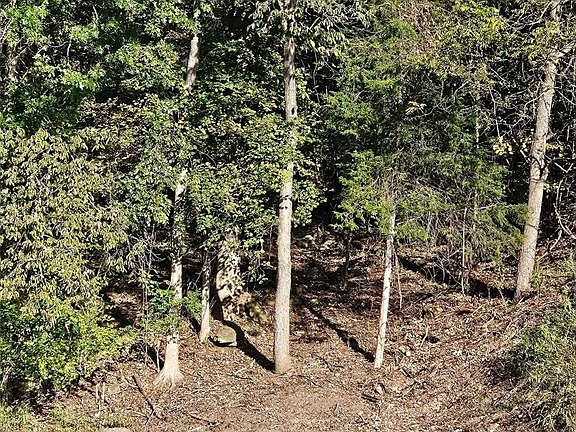 3rd image of 138 N Lake Sherwood Dr