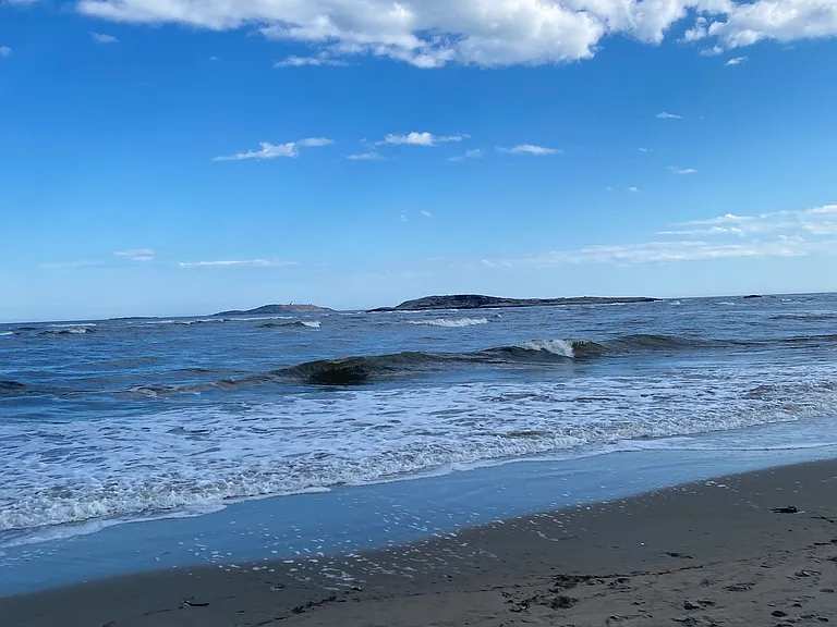 8 minute drive to downtown harbor and many beaches and trails nearby
