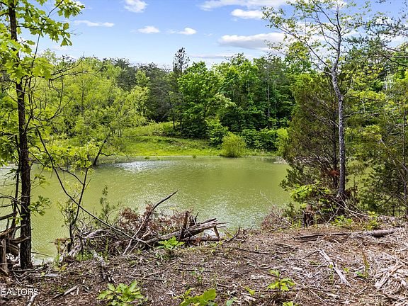 4th image of 1741 Gator Point Rd