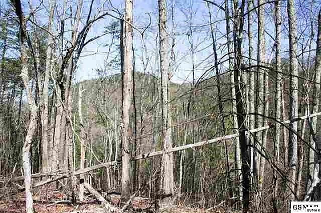 1st image of 589 Gossamer Rd Lot 5