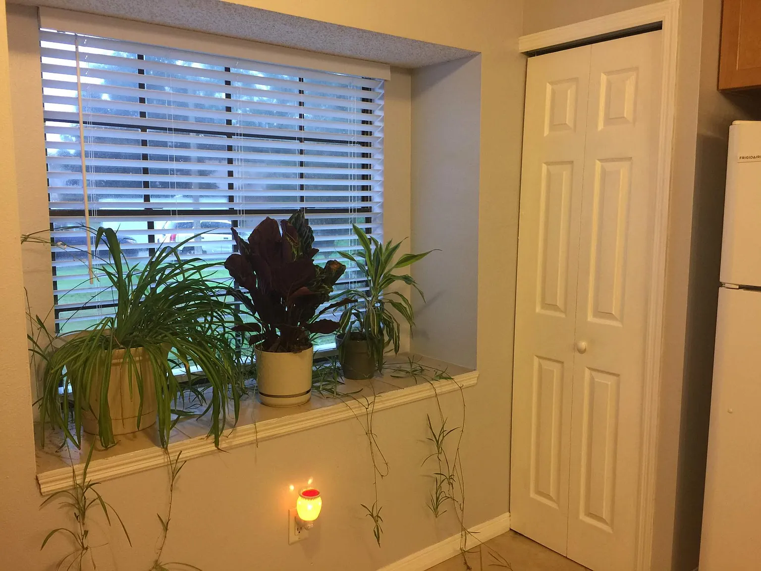 4514 Elmcrest Ct — Photo 4