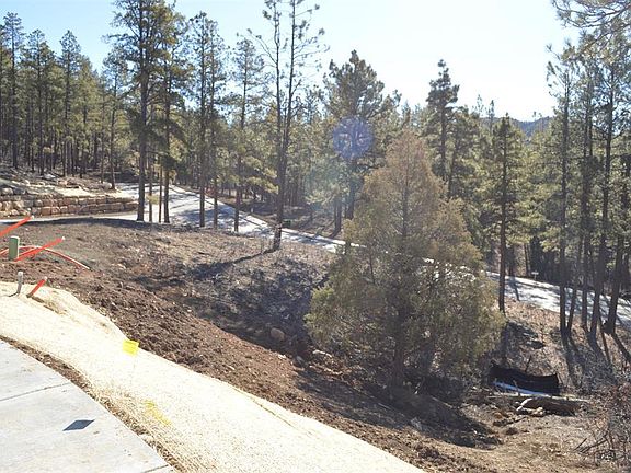 4th image of 35 Snowdrop Ct. (Lot 141)