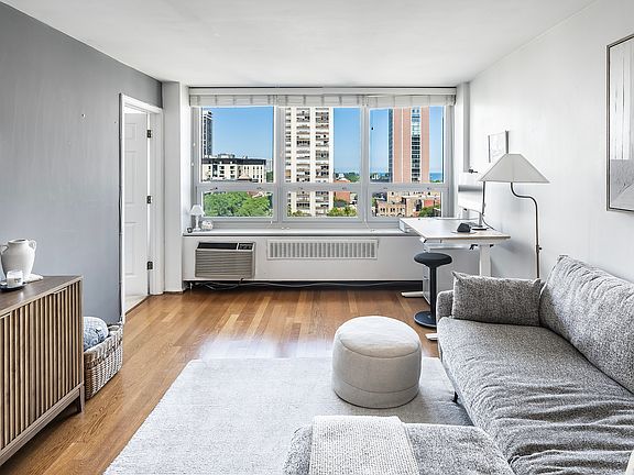 5th image of 88 W Schiller St APT 1003L
