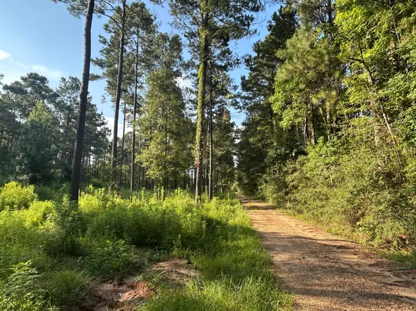 64 Dewey Smith Rd, Lumberton, MS 39455