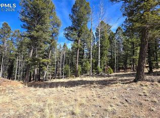 19 Serenity Cir, Florissant, CO 80816