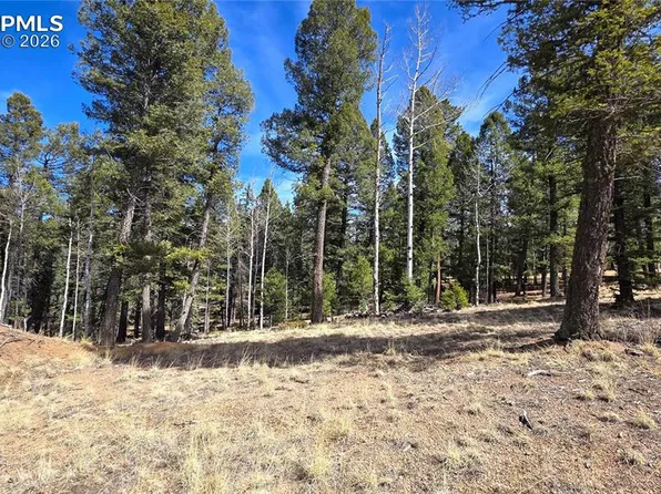 19 Serenity Cir, Florissant, CO 80816