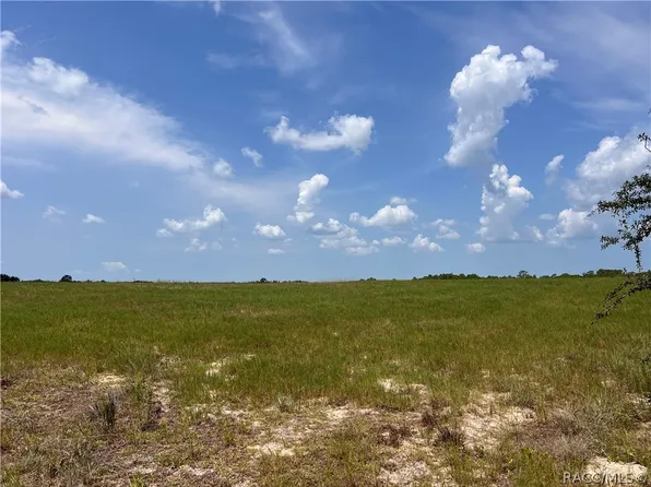 5990 W Oakhill St, Dunnellon, FL 34433