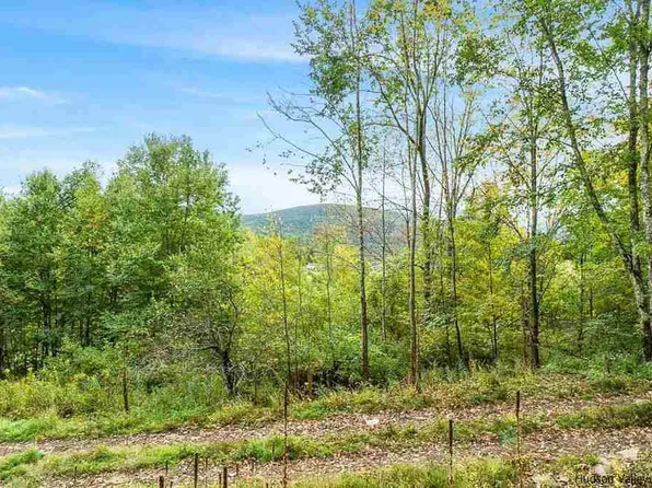 TBD Meadowbrook Drive, Margaretville, NY 12455