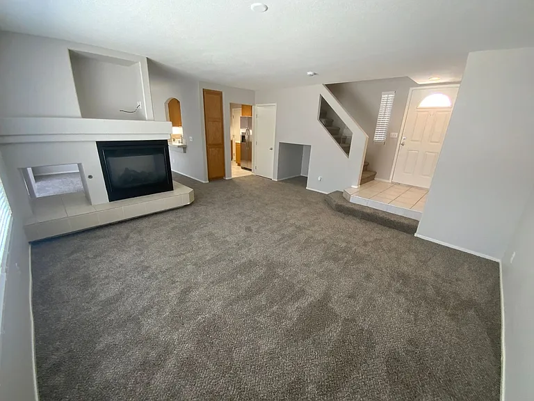 10256 Grecian Laurel Ct — Photo 10