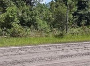 2251 Blueberry St, Bunnell, FL 32110