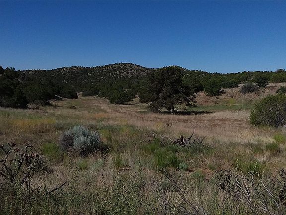 4th image of Camino Valle