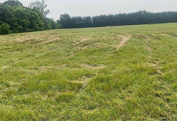 2nd image of 0 State Highway 2141