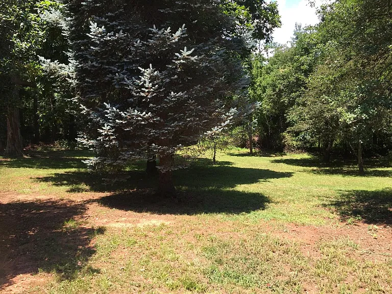 3145 Whitesell Dr — Photo 12