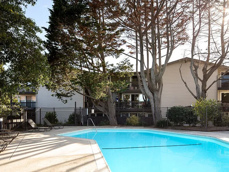 Crystal Springs Terrace — Photo 10