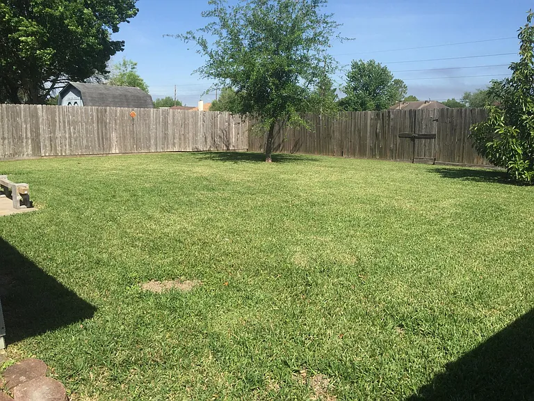 Huge Backyard