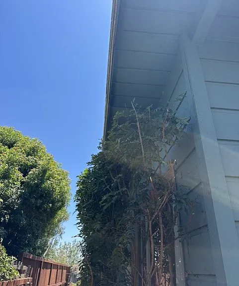 3808 Alameda Way #3808 — Photo 33