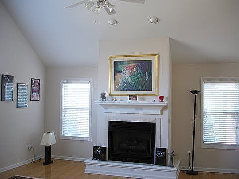 Living Room Fireplace