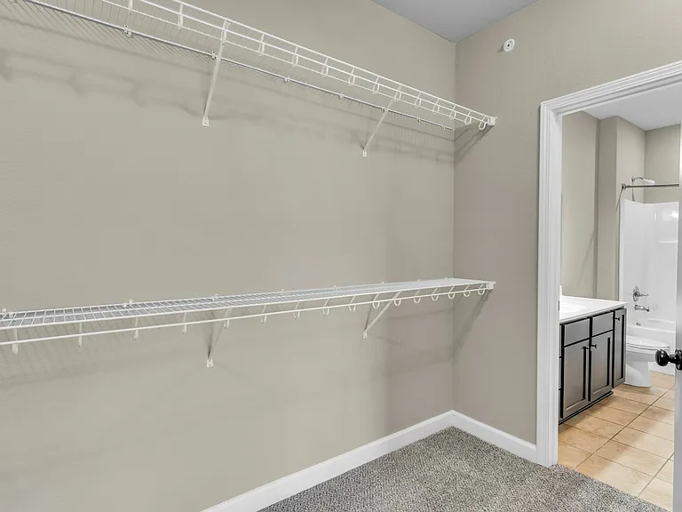 Closet Storage