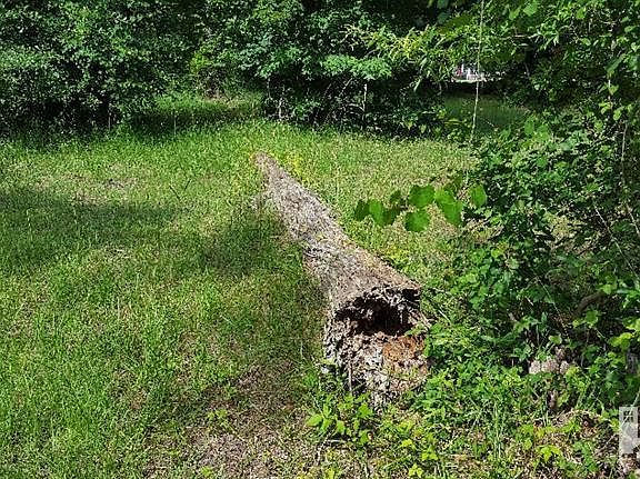 4th image of 114 Dragonfly Ct